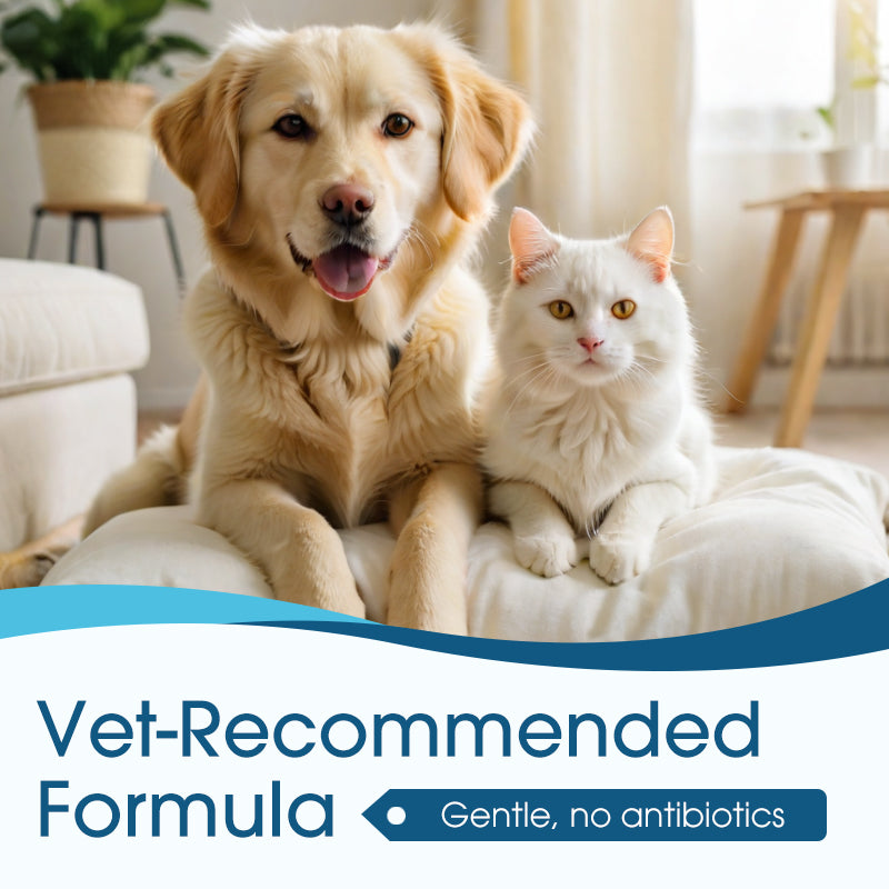 🐶🐱 Ohrenreiniger | Lindert Juckreiz bei Hunden & Katzen 👂