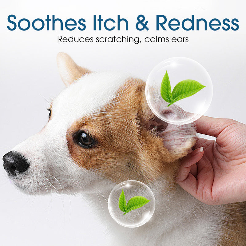 🐶🐱 Ohrenreiniger | Lindert Juckreiz bei Hunden & Katzen 👂