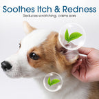 🐶🐱 Ohrenreiniger | Lindert Juckreiz bei Hunden & Katzen 👂